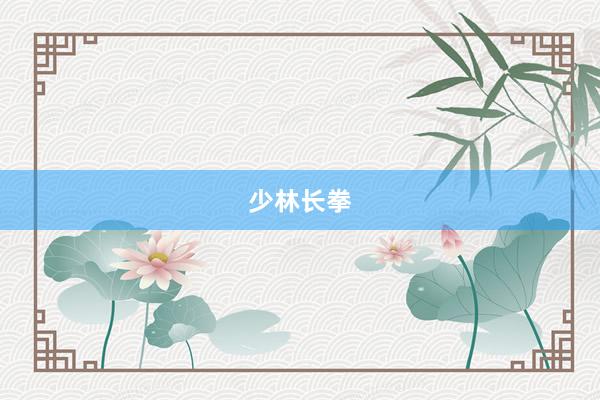 少林长拳