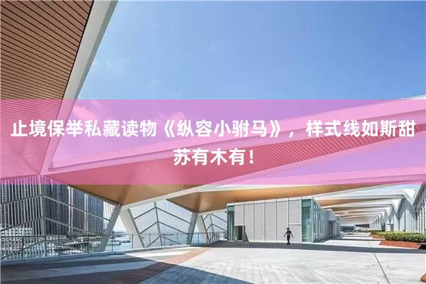 止境保举私藏读物《纵容小驸马》，样式线如斯甜苏有木有！